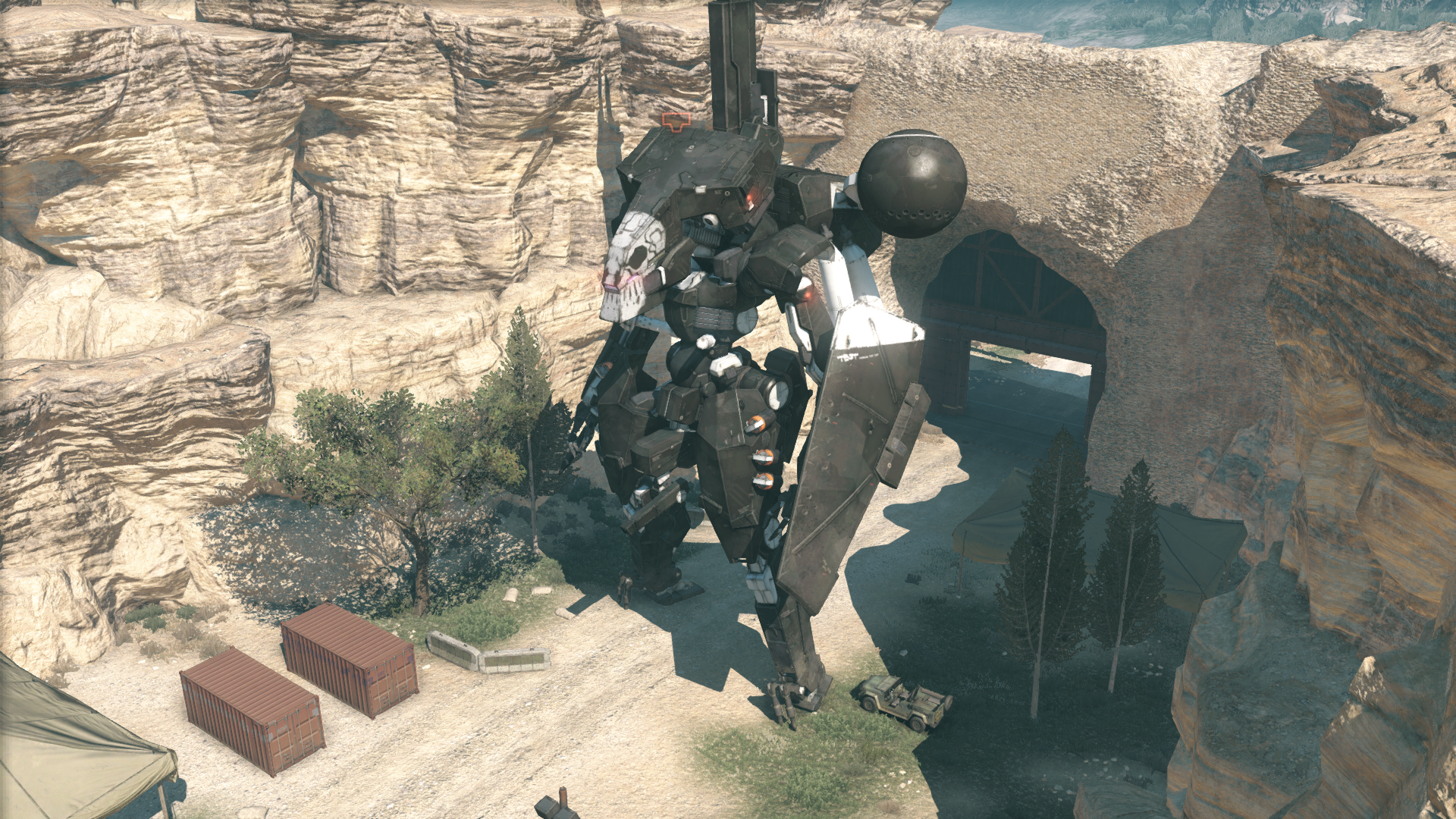 Sahelanthropus with the shield mesh visible